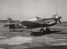 Curtiss P-40_11