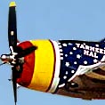 P-47D em exibi&ccedil;&atilde;o