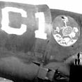 P-47D do 1&ordm; GAvCa da For&ccedil;a A&eacute;rea Brasileira
