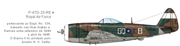 P-47D-25-RE da Real For&ccedil;a A&eacute;rea (RAF)