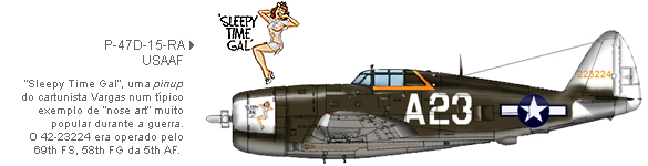 P-47D-15-RA da For&ccedil;a A&eacute;rea do Ex&eacute;rcito Americano (USAAF)