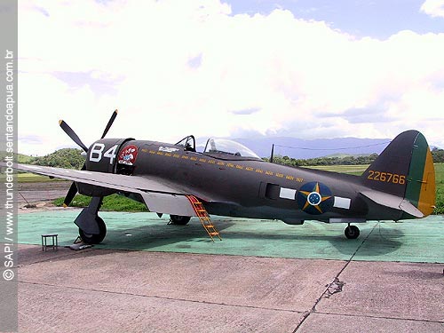 vis&atilde;o geral do P-47